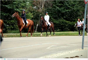 Fotók, Útirány.hu