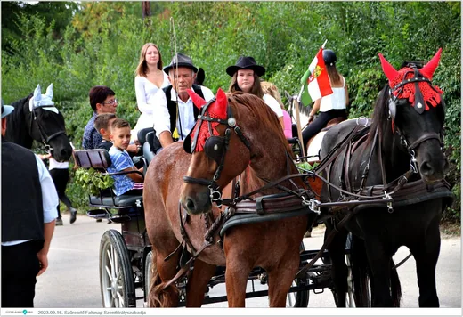 'Szüretelő falunap' cikk borítóképe