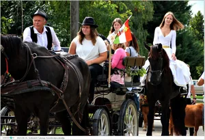 Fotók, Útirány.hu