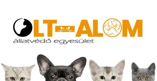 ADOMÁNYGYŰJTÉS borítóképe