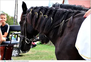 Fotók, Útirány.hu