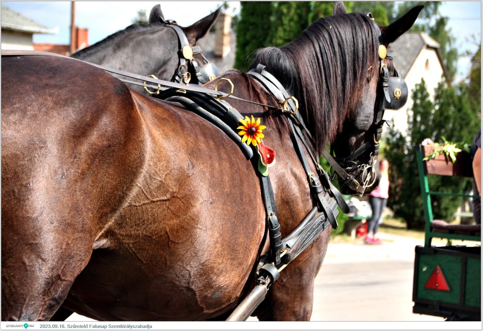 Fotók, Útirány.hu