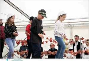 Képek: Útirány.hu