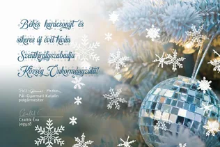 Békés karácsonyt és sikeres új évet kívánunk! borítóképe